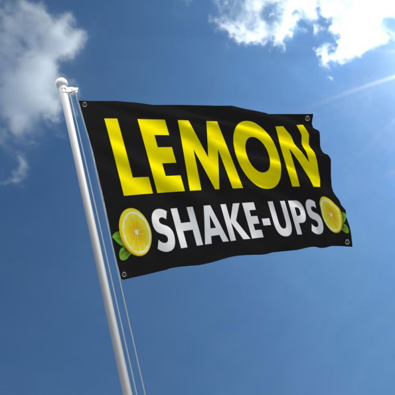 Custom Banner Flags Suitable F - Commercial Printing Shop 评论和价格